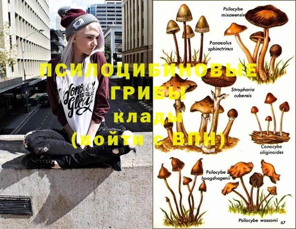 mix Алексин