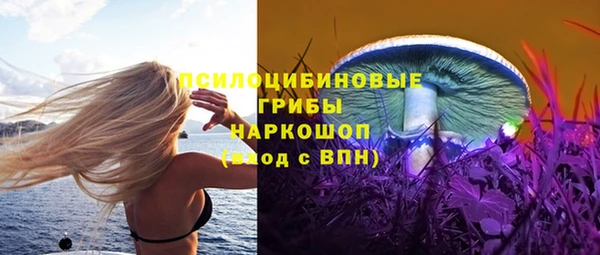 а пвп мука Алзамай