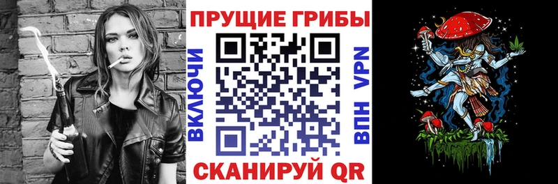 где можно купить наркотик  Камышин  Галлюциногенные грибы мухоморы 